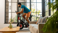 Schwinn logo